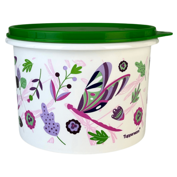 Tupperware Kit 2 Caixas Mantimento Pote Tampa Hermética - Image 2